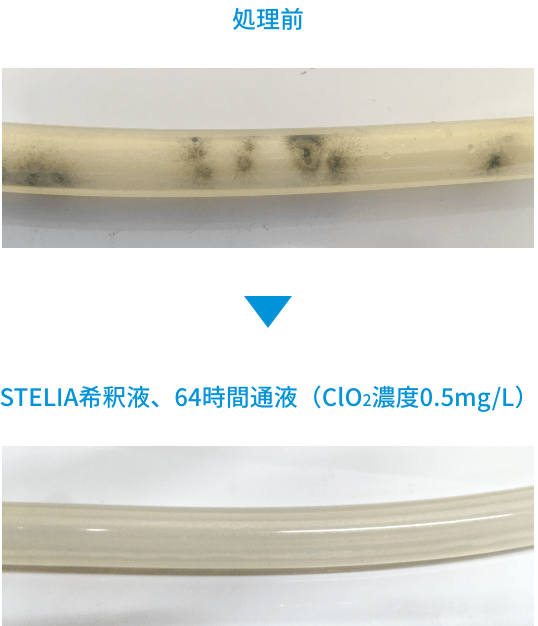 処理前 STELIA希釈液、64時間通液（ClO2濃度0.5mg/L）