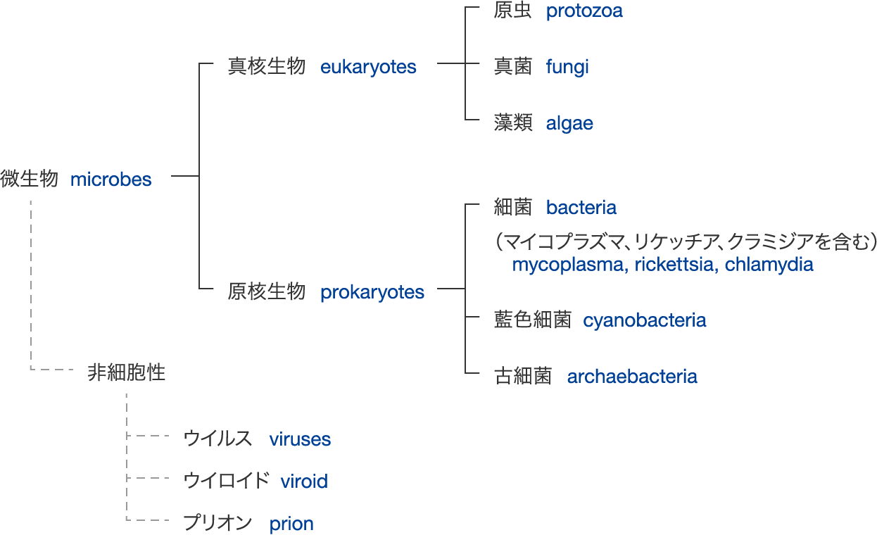 微生物と菌